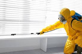 Best Termite Inspection and Treatment  in Bon Aqua Junction, TN